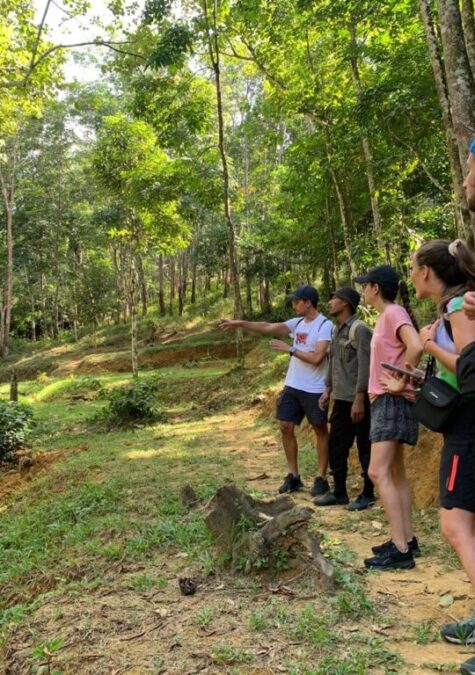 gallery explore sumatra trekking (27)