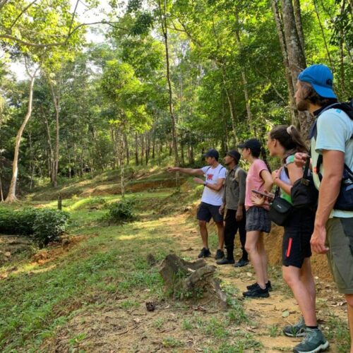 gallery explore sumatra trekking (27)