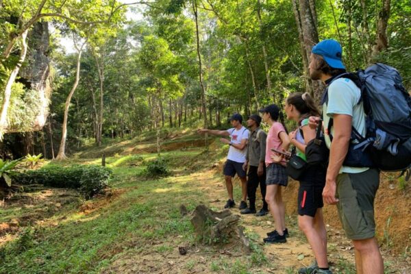 gallery explore sumatra trekking (27)