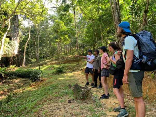 gallery explore sumatra trekking (27)